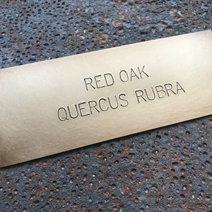 Placa de identificação em latão estampado à mão, estilo vintage, placa personalizada.