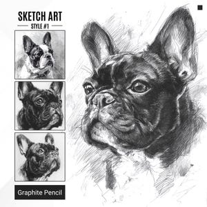 Pet Drawing From Photo, Dog Pencil Cat Drawing, Custom Sketch Portrait