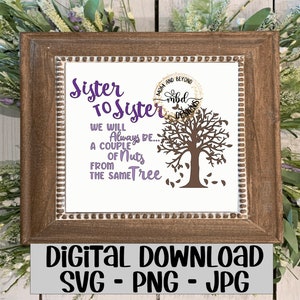 Schwester zu Schwester wir werden immer ein paar Nüsse vom gleichen Baum SVG PNG JPEG jpg / Family Quote Zeichen Zeichen Cut File sein