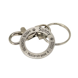 Könnte beinhalten: Silbernes Hundehalsband mit einem Clip und einem Ring. Das Schild ist mit dem Namen "Sunny", der Adresse "Musterstrasse 4", der Telefonnummer "123456789" und dem Text "91164+" graviert.