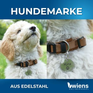 May include: A round stainless steel pet ID tag engraved with the name Kira, a paw print icon, and a phone number. The tag is attached to a brown nylon collar with a black plastic buckle worn by a curly-haired dog. The text HUNDEMARKE is visible.