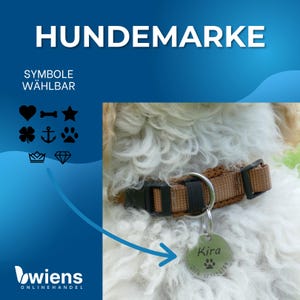 May include: A round silver-colored metal pet ID tag engraved with the name Kira, a paw print symbol, and a phone number. The tag hangs from a brown nylon dog collar with a black plastic buckle, worn by a dog with white curly fur.
