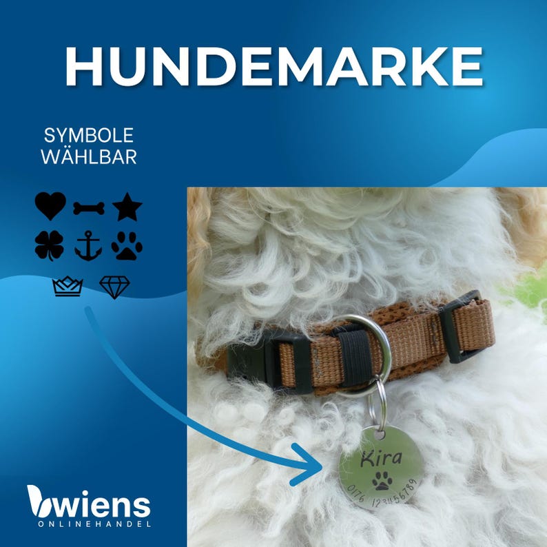 May include: A round silver-colored metal pet ID tag engraved with the name Kira, a paw print symbol, and a phone number. The tag hangs from a brown nylon dog collar with a black plastic buckle, worn by a dog with white curly fur.