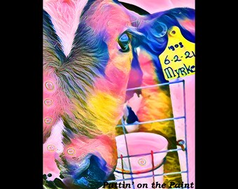 Trippy Calf - Psychedelic Cow Print