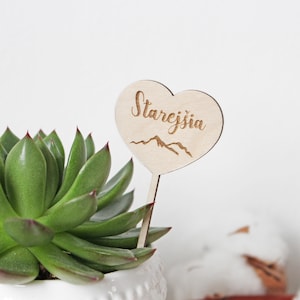 Place Cards, Succulent Place Cards, Wedding Favors, Succulent Tags, Wedding Place Cards, Rustic Wedding, Wooden Heart