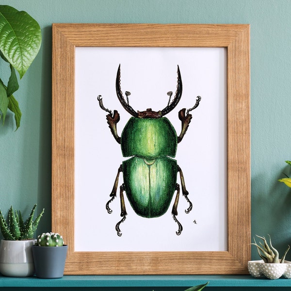 Green Bug, Käfer, Insekt - art print, water color painting