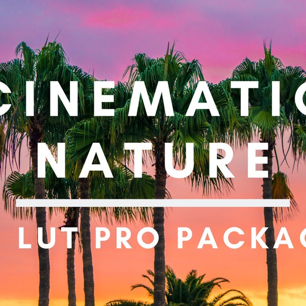 10 Cinematic LUTs Pack (4K) | Adobe Premiere Pro | After Effects | Final Cut Pro | Davinci Resolve | Color Grading