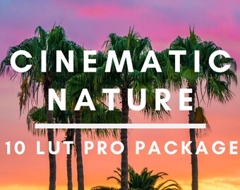 10 Cinematic LUTs Pack (4K) | Adobe Premiere Pro | After Effects | Final Cut Pro | Davinci Resolve | Color Grading