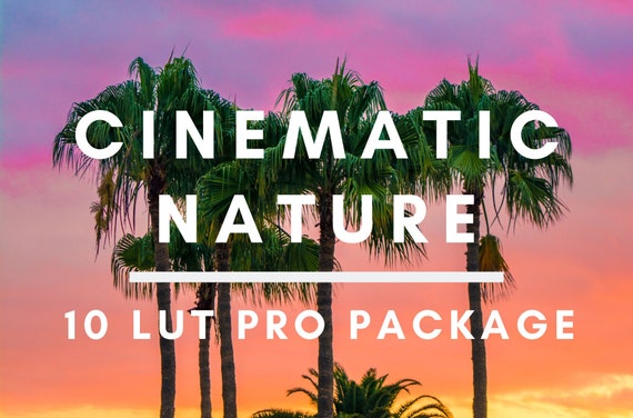 10 Cinematic LUTs Pack (4K) | Adobe Premiere Pro | After Effects | Final Cut Pro | Davinci Resolve | Color Grading