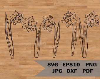 Free Free 231 Narcissus Flower Svg SVG PNG EPS DXF File