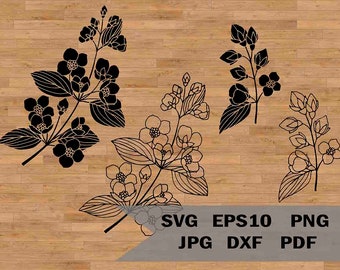 Download Jasmine Flowers Svg Etsy