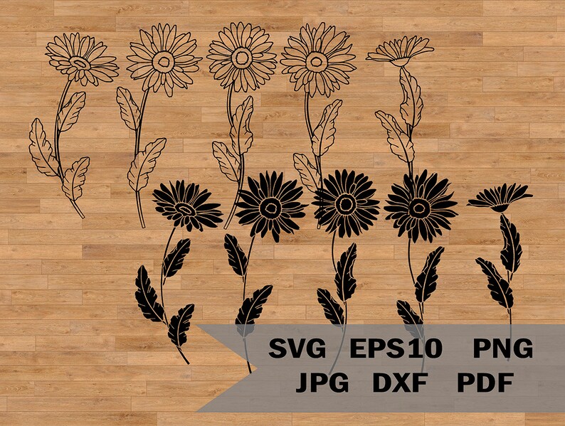 Download Jringet6x8ircm