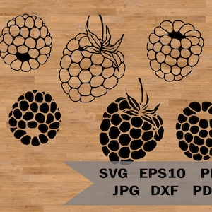 Raspberry svg file, Berry Svg, Raspberry Files, Fruits Svg, raspberry template, raspberry clipart, raspberry stencil, raspberry silhouette