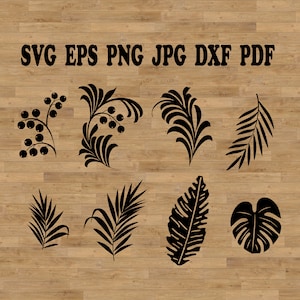 Hojas de bayas SVG, archivos de corte de hojas SVG, paquete de hojas SVG, clipart de hojas, ramas SVG, hojas de árboles SVG, hojas tropicales SVG, archivos de corte de hojas