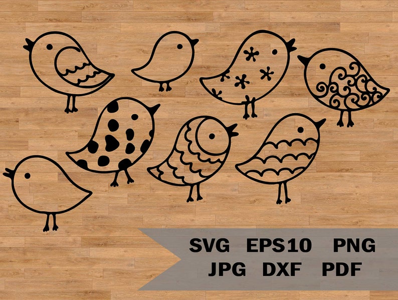 Funny birds, bird clip art