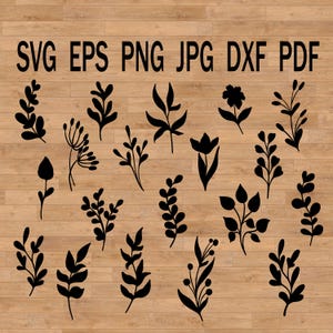 Bundle feuille branches Svg plantes Clipart Svg, feuilles dessinées svg, silhouette de feuille