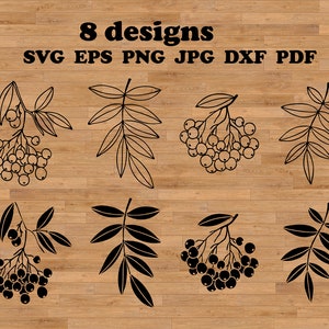 Rowan svg, bessen silhouet, bessen sjabloon, bessen Svg, boomtak svg, herfst snijden bestanden, bes SVG voor knippen, botanische svg