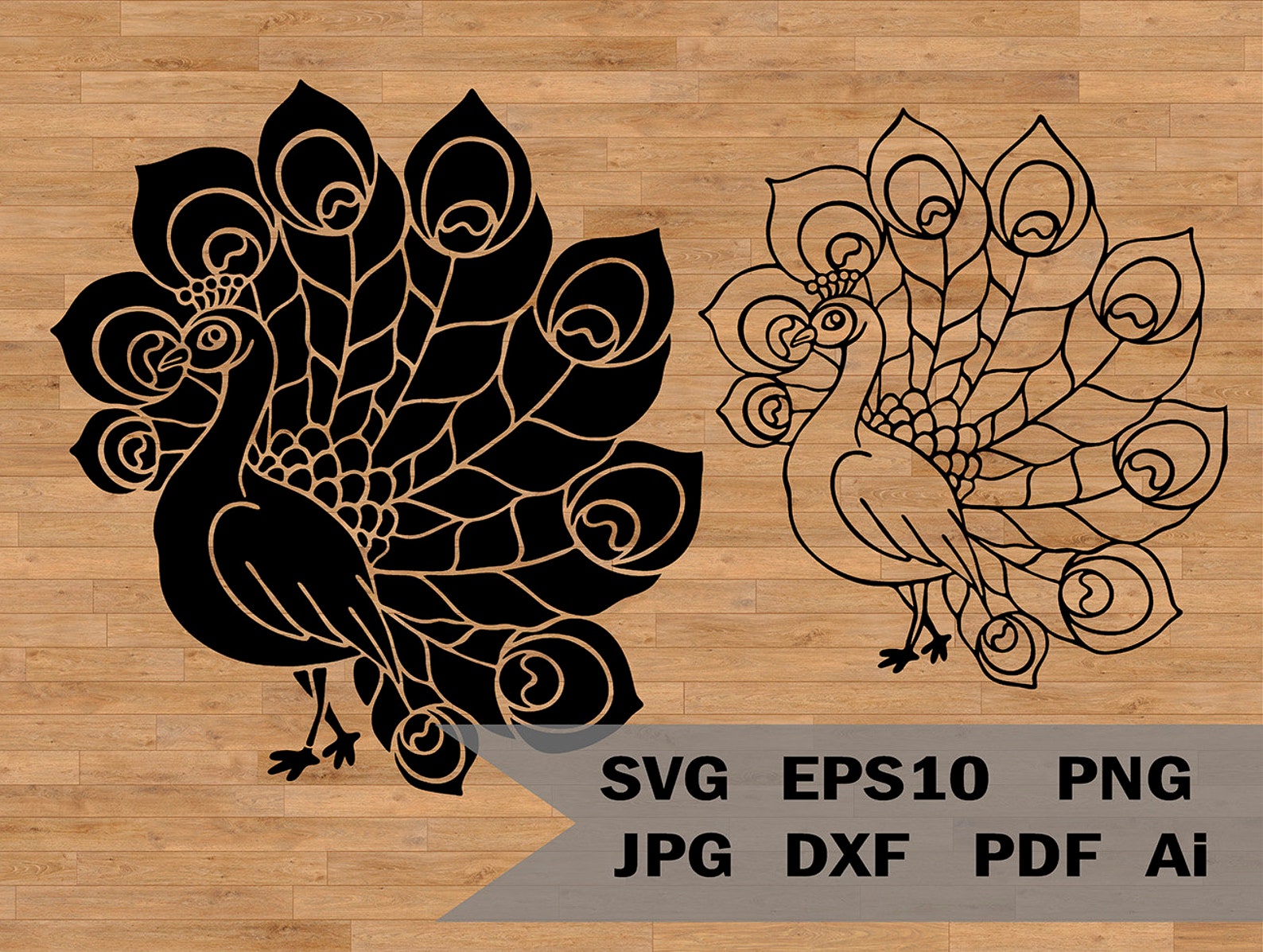 Peacock Template Svg, Cricut Svg File, Silhouette Cut Files, SVG PNG