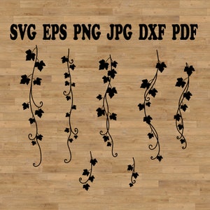 Ivy Leaf, Leaf Silhouette SVG, Leaf SVG, vines svg, vines vector, vines clipart, Ivy birthday