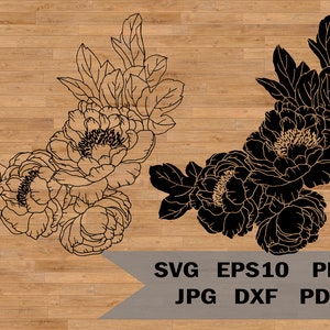 Peonía SVG, Peonías SVG, Planta de peonía, Clip art de peonía, Peonía dibujada a mano, Jardín de flores SVG, Botánico SVG, Hojas SVG, Ramo floral SVG