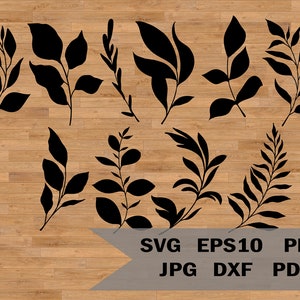 Rama SVG, Hojas cortadas en papel, Hojas cortadas en archivo, Hojas SVG, Rama vectorial, Hoja de paquete SVG, Boda floral SVG, Plantas SVG Clipart