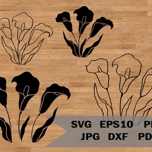 Flores de cala, lirios de cala, clipart de flores, clipart de flores silvestres, Cricut botánico, archivo SVG botánico, Cricut de flores lindas