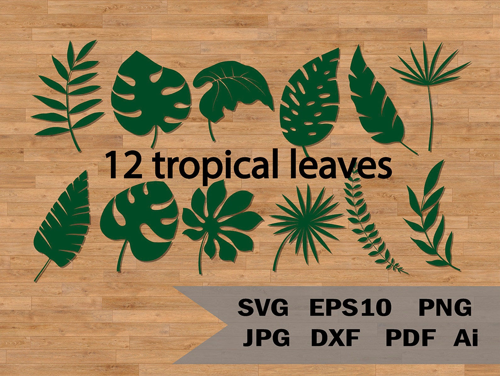 Tropische Blätter SVG-Vorlage, schneiden bedruckbares Set von 12