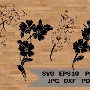 Boeket bloemen sjabloon svg, lente svg, bloemenrand svg, bloemen hoek svg, wilde bloemen svg, botanische svg, handgetekende bloemen