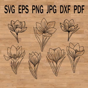 Plik svg krokusa sylwetka kwiatowa plik laserowy, kwiat krokusa wiosna svg clipart