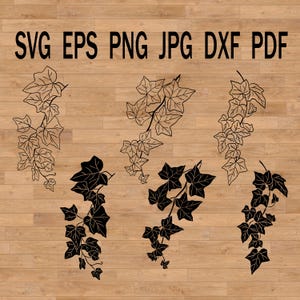 Hoja de hiedra SVG, diseño de guirnalda de vegetación botánica para postales, invitaciones, decoración de tazas y camisetas