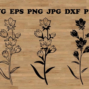 Campanillas azules Svg, imágenes de campanillas azules, flores de campanillas azules, flores de primavera SVG, clip art botánico, flores de nacimiento SVG, ramo floral SVG, conjunto de tatuajes