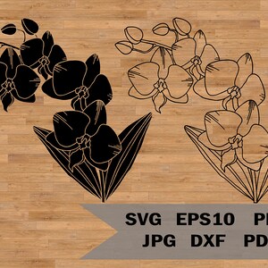 Tropical flowers svg, Orchid svg template, orchid clip art, Orchid branch flowers Tropical leaves, Template Cut for Cricut and Silhouette