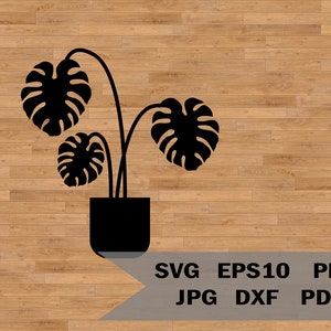 Diseño SVG de Monstera, hoja de monstera SVG, hojas tropicales SVG, hojas de plantas SVG, archivo de corte de monstera, silueta de hojas tropicales, clipart