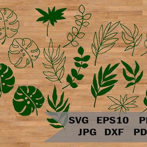 熱帯の葉の SVG テンプレート、印刷可能な熱帯の葉の切り取り、12 個のファイル セット、モンステラの葉の SVG クリップアート、Cricut および Silhouette 用の SVG