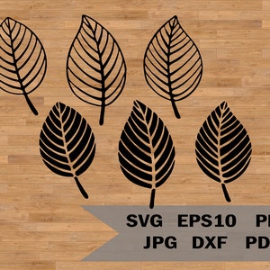 Bundle Leaf SVG, Floral Wedding SVG, Plants SVG Clipart, Leaves SVG, Leaf ClipArt, foglie disegnate a mano, foglie tagliate SVG, Nature SVG
