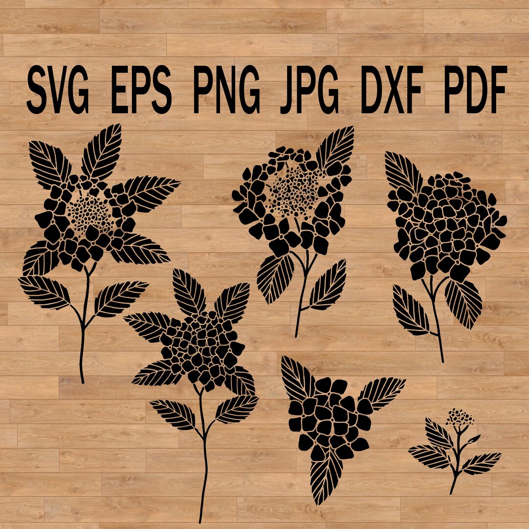 Hydrangea Svg Garden Flower Cut File, Floral Cricut Garden Svg ...
