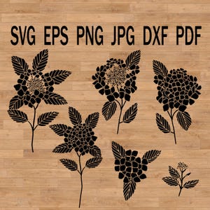 Archivo de corte de flores de jardín svg de hortensia, SVG de jardín floral de Cricut, clipart de hortensia, clipart SVG PNG botánico