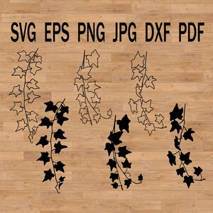 bluszcz liść svg, botaniczny zielony girland svg projekt pocztówek, zaproszeń, kubków i dekoracji koszulek