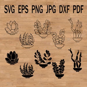 Svg succulent pour carte postale, carte de visite clipart cactus, invitation et création de scrapbooking