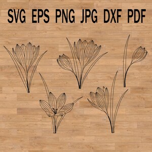 File svg di croco, silhouette floreale, file laser, svg botanico, clipart primaverile di fiori di croco
