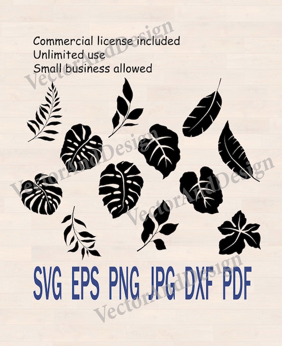 Tropische Bltter, Monstera-Vorlage, Grnschnittdatei, botanische Blattsvg  - Etsy sterreich