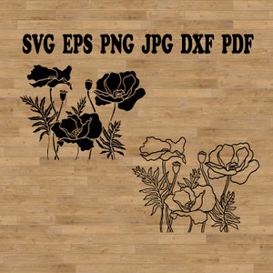 Conception de coquelicots, dessin au trait coquelicot, coquelicot dessiné main, dessin au trait floral, clipart coquelicot, lot de fleurs svg, svg fleurs sauvages, svg botanique