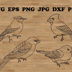 Aves svg, silueta de pájaro svg, imágenes prediseñadas de aves, archivo cortado de aves, archivo svg de aves, paquete de aves svg, flor de pájaro svg, familia de aves svg