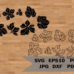 Leaves template svg, Paper Leaf SVG, Paper Leaf Cut File, Leaves SVG Bundle, Leaves Silhouette, Leaves cricut, Leaves clipart, cricut file