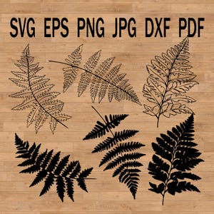 Paquete de hojas tropicales SVG de helecho, hojas de helecho, hojas de helecho, follaje decorativo