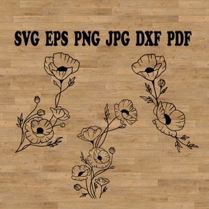 Fleurs de pavot Svg, conception de coquelicots, dessin au trait coquelicot, coquelicot dessiné main, motif coquelicot, dessin au trait floral, clipart coquelicot, coquelicot botanique png thumbnail