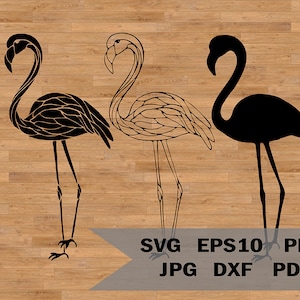 Flamingo template svg, Flamingo Cut File, Flamingo Wall Decor Vector Laser Cut, Tropical bird stencil, SVG for Cricut and Silhouette