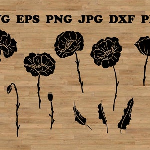 Svg fleurs de pavot, coquelicot Svg, bouquets de pavot, fichier coupé pavot, fleurs de pavot, feuilles de pavot, svg botanique, lot