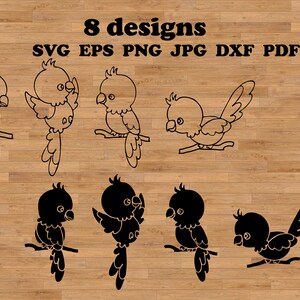 Svg de perroquets mignons, conception d'oiseau tropical pour des tasses, des t-shirts et des autocollants, clipart de perroquet d'oiseaux de la jungle