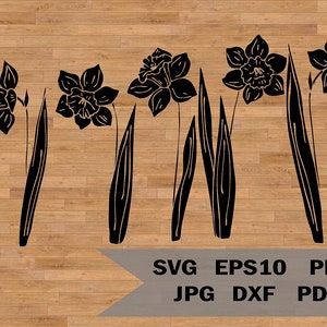 Narcisse modèle svg, narcisse dxf, svg fleur, Coupe vinyle, Vector Cricut Cut, Narcisse Stencil Paper Cut, silhouette narcisse